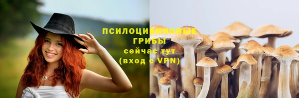mdpv Аркадак