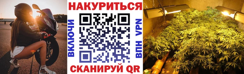 omg как войти  Белогорск  darknet как зайти  Шишки марихуана тримм 